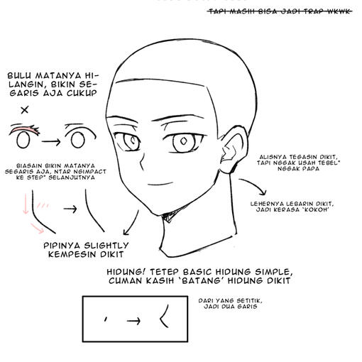 Head Comparison